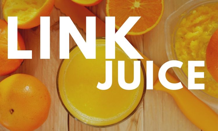 Qué es el link juice y por qué es tan importante en tu posicionamiento SEO